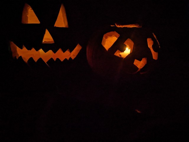 PXL_20221019_200804623