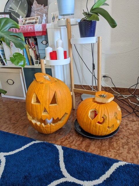 PXL_20221016_104652541