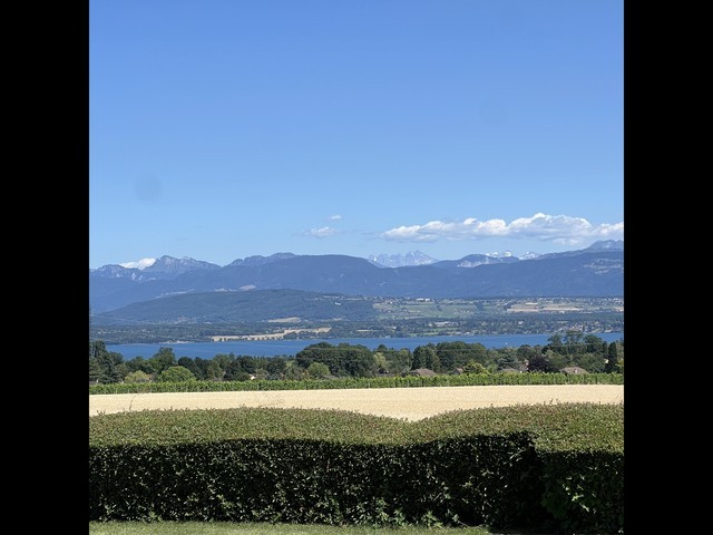 Photo 04.07.26 16 01 23