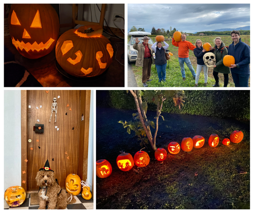 Pumpkin Patch - Picking 2022